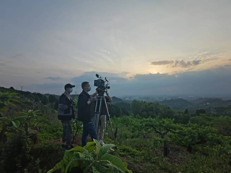 创意破圈！兴城市电商产品宣传视频用故事化叙事引爆流量
